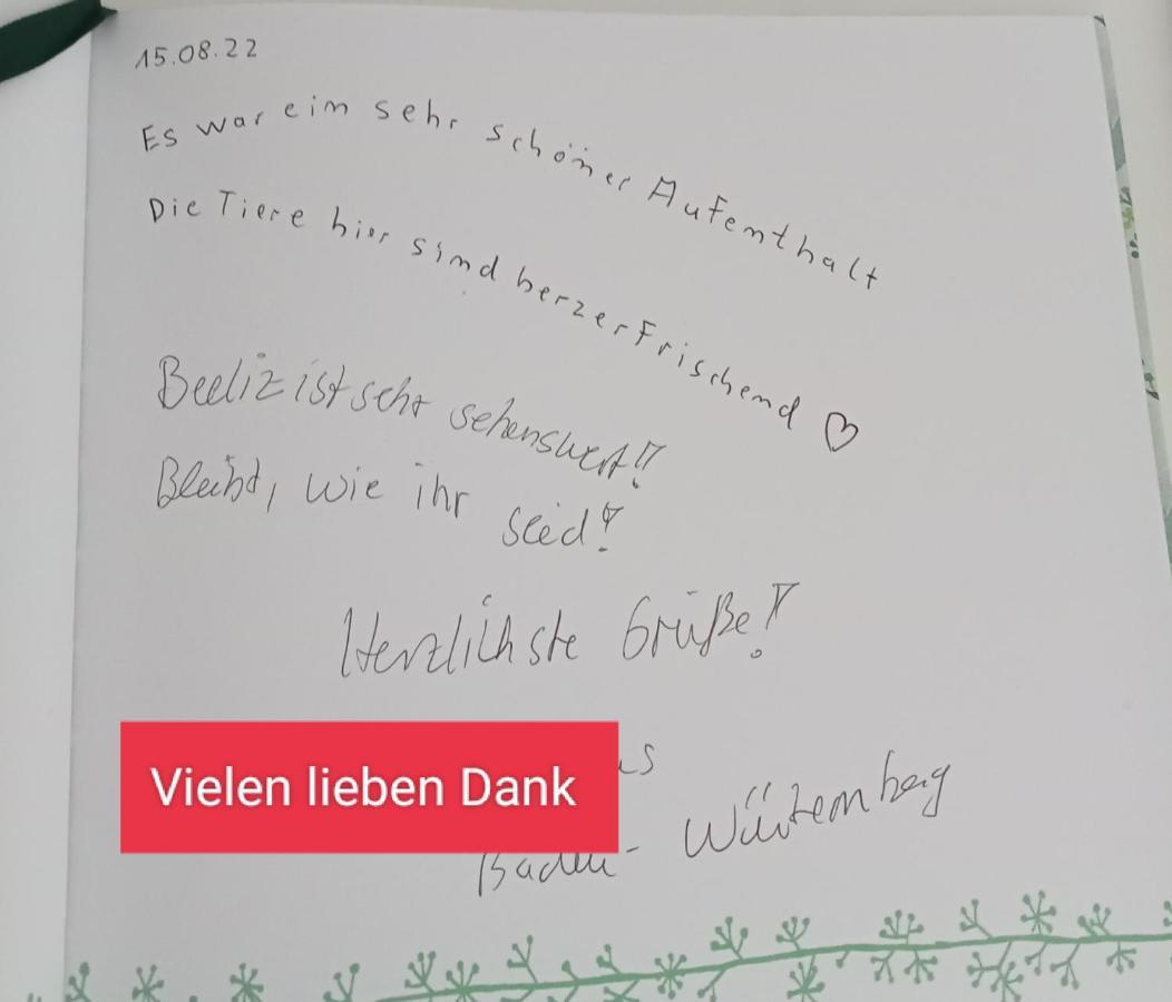 Ferienzimmer Waldzauber Borkwalde エクステリア 写真