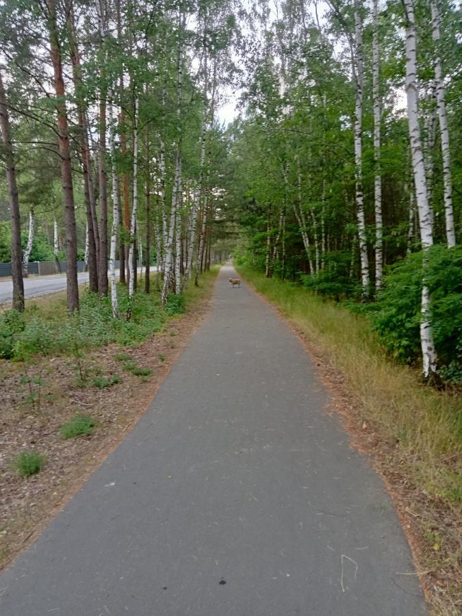 Ferienzimmer Waldzauber Borkwalde エクステリア 写真