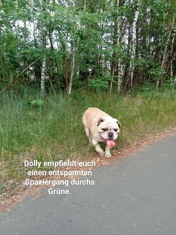 Ferienzimmer Waldzauber Borkwalde エクステリア 写真